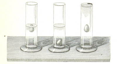 Drawing of a physics experiment with three test tubes, from an old science book